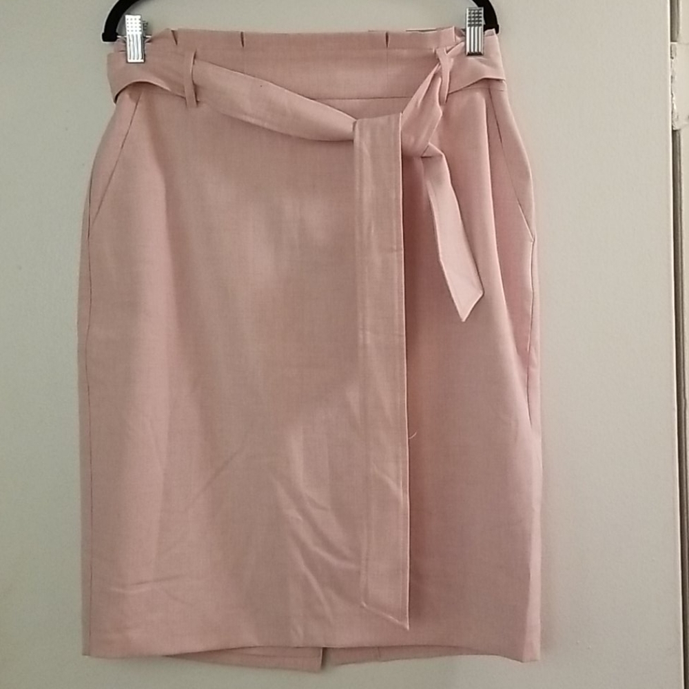 Ann Taylor Pink Pencil Skirt with Pockets